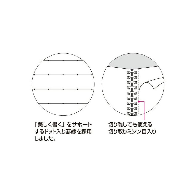 Kokuyo S111BT-DR Campus Soft Ring Notebook, Semi-B5, Dotted B Ruled,