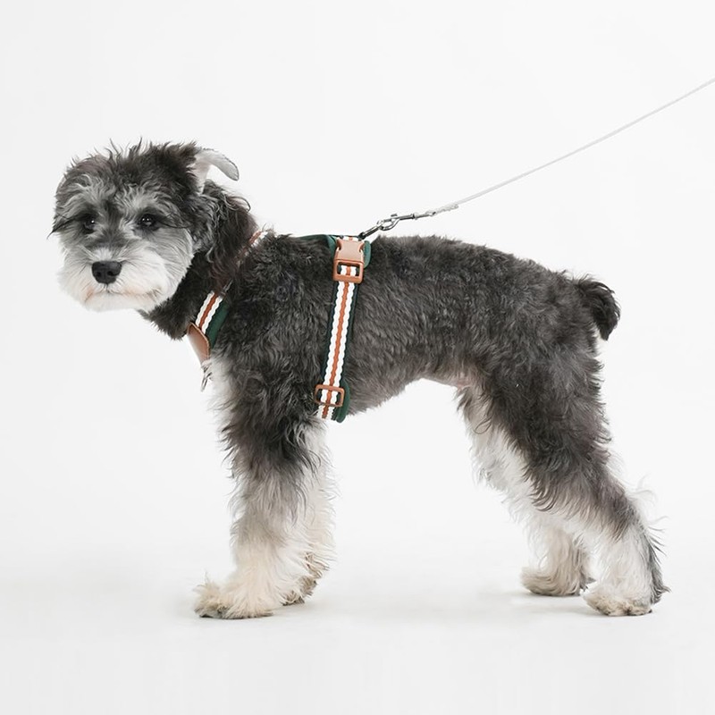 Paipeper Dog Harness, Small Dog Harness, Medium Size Dog Harness,