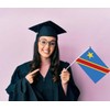 Pack of 25 Congo Handheld Flag, Congo Decor Hand Held