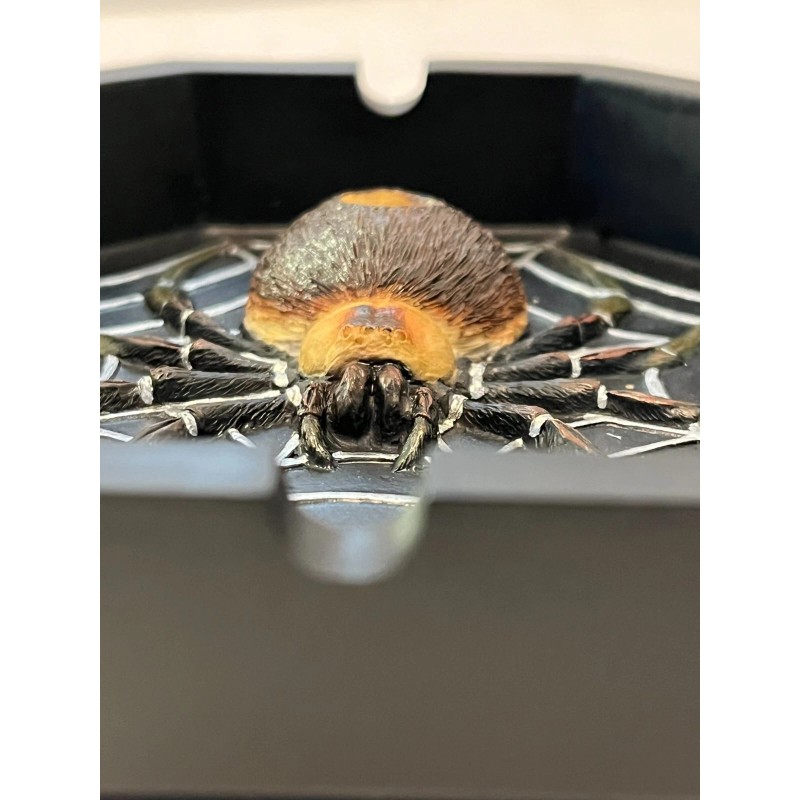 Spider Ashtray - Incense holder - Myths & Legends -