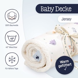 Julius Zöllner Winter Blanket Made of Cotton Jersey and Cuddly Teddy Fabric, Size 70 x 100 cm, Made in Germany, Oeko-Tex® Standard 100, Little Dinos