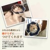 WISSUA エリザベスカラー 軽量 通気性 ケガ 介護 傷舐め防止 引っ掻き防止 猫用 犬用