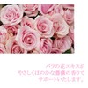 Lipsa Etiquette Rose C-219-2 (2 Bags of 90 Capsules x