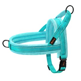 Didog Soft Flannel Padded Dog Vest Harness,Escape Proof/Quick Fit Reflective Dog Strap Harness, Easy for Training Walking(M:Chest 21-26", Teal)