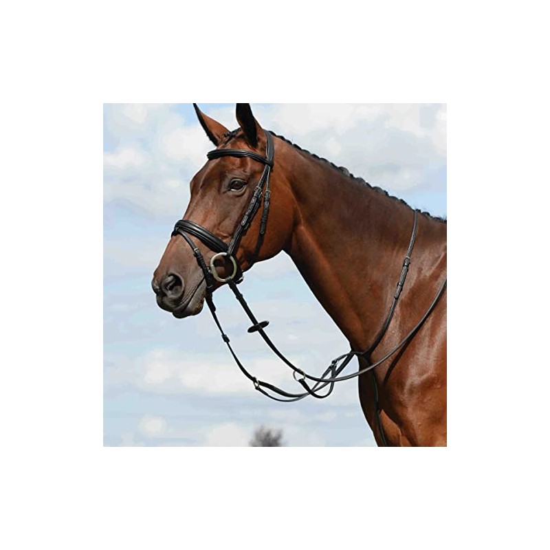 Collegiate Syntovia+ Plain Flat Running Martingale, Black, Cob