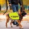 In Training Ignore Dog Jacket Vest Dog In Training Nervous