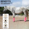 Leberna Horse Fly Boots Set of 4 - Breathable Comfy