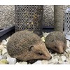 UKMGifts Set of 2 Hedgehog resin garden or indoor ornaments