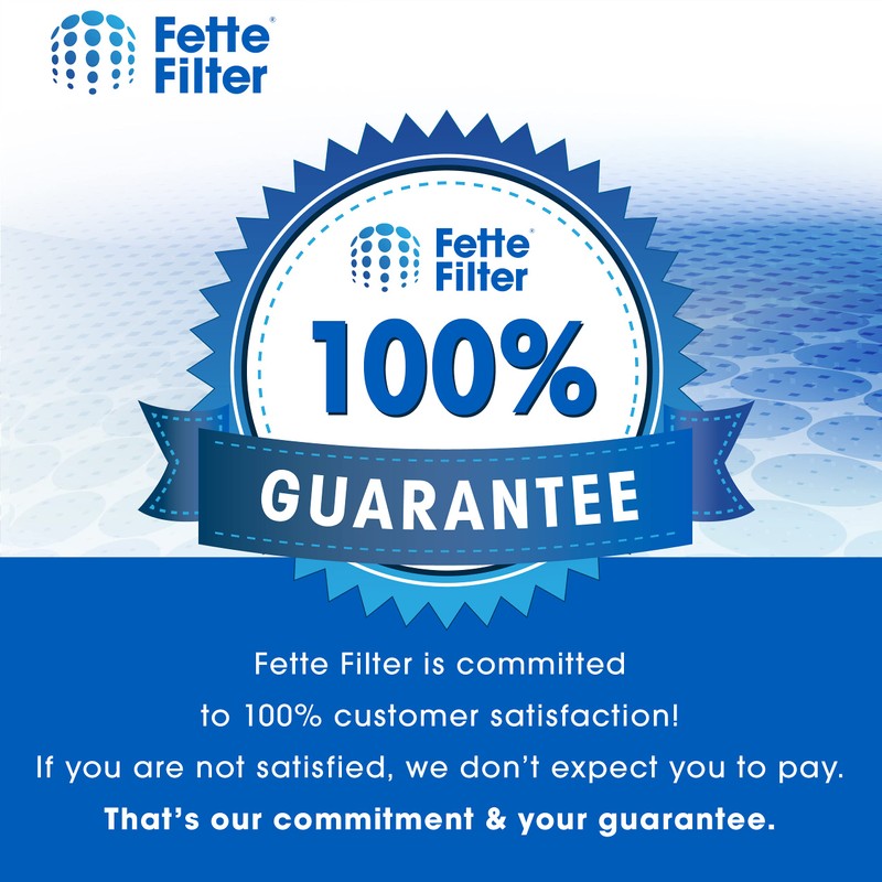 Fette Filter - True HEPA Replacement Filter, Compatible with TaoTronics