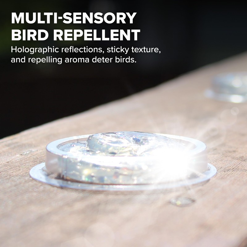 Bird B Gone - SpectrumV Holographic Bird Gel - Bird