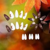 24Pcs Maple Leaves Acrylic Medium Almond Fake Nail Thanksgiving Press