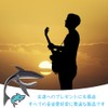 Capotasto Guitar Sharks Shaped Guitar Access, Zinc Alloy, Strong String