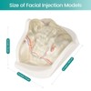 Injection Lower Face Training Model, Transparent Facial Injection Model with