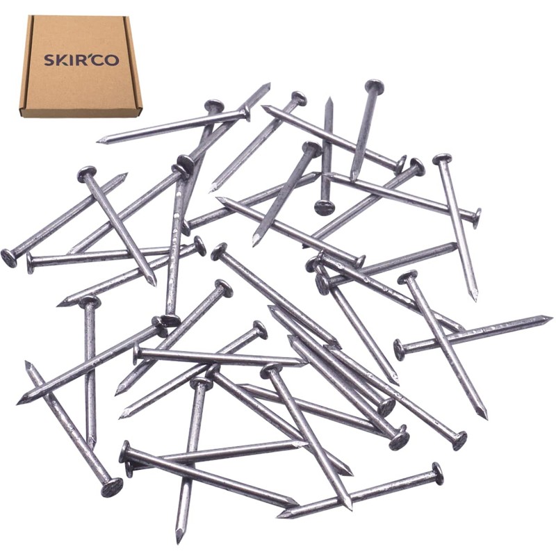 SKIR'CO (400 pcs) Steel 1.6 x 25 mm Construction Nails,