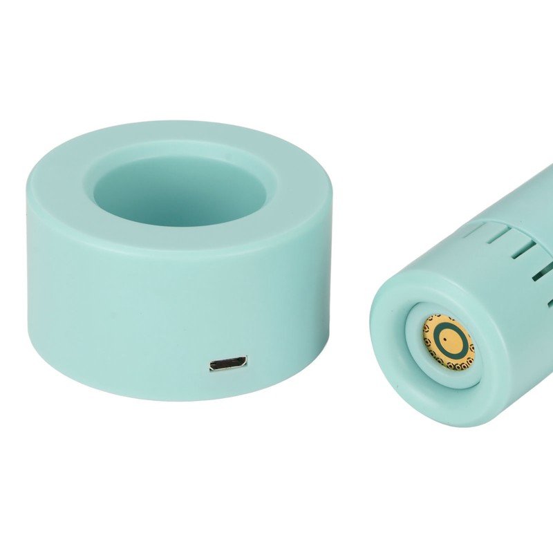 Electric Pet Grooming Brush USB Wireless Charging 3 Speeds Adjustable