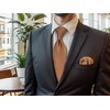 [S&W SHLAX&WING] Men's Necktie Brown Copper Formal Neck Tie Set