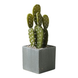 Airbirhom Cactus Artificial Plants in Gray Pots, Realistic Faux Cactus Potted Décor for Home, Office, Kitchen, Living Room, Desk, Shelf, and Indoor Decoration (Oblate)