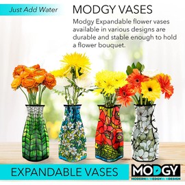 MODGY Expandable Flower Vase Set, Plastic Decorative Modern Foldable Printed Vases for Centerpieces for Wedding, Dining Table, Home Decor, Living Room, Bathroom, Office, Louis C. Tiffany, 4 Pack