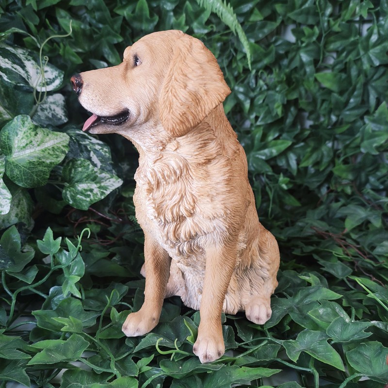 Vivid Arts - Golden Retriever - XRL-GR03-D