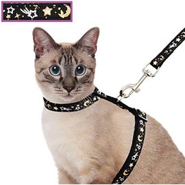 Juego de arnés y correa para gatos para caminar al aire última intervensión, a prueba de escapes, correa de seguridad suave ajustable con diseño de