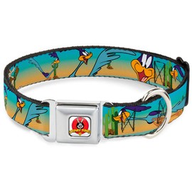 Buckle-Down Seatbelt Buckle Dog Collar - Road Runner/Wile E. Coyote Scene1 Desert