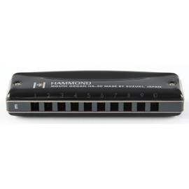 Other Harmonica, Black (HAMMOND HA-20 G)