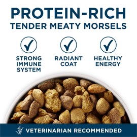 Purina One +Plus Dry Dog Food for Large Adult Dogs High Protein, Real Chicken - 31.1 lb Bag