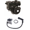 Ignition Coil Module 20B79430H1 Replacement for Robin Engine Model EX35