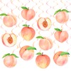 Peach Party Hanging Swirls Peach Birthday Party Supplies 20PCS Sweet