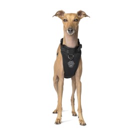 Canada Pooch Everything Dog Harness No Pull Adjustable Dog Walking Harness Black - Size XL, XL