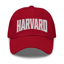 Harvard Baseball Cap Harvard Dad Hat Illinois IL Hat Embroidered Souvenir Cranberry