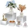 Geelin 6 Pack Acrylic Risers for Display Acrylic Cube Boxes