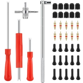 Valve Stem Removal Tool & Installer Tool Kit - 15Pcs TR412/ TR413/ TR414 Tubeless Tire Valve Stems, 20Pcs Valve Caps/Cores, 1Pcs Valve Insertion Installer, 4Pcs Valve Core Remover (Pack of 40)