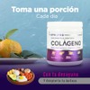 Colágeno Hidrolizado Puro en Polvo 360g - Fresa | Con