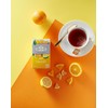 Ahmad Tea Herbal Tea, Mixed Citrus Teabags, 20 ct (Pack
