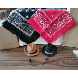 Unbranded NEW ~ DOG COSTUME COWBOY HAT AND BANDANA ~ BLACK, TAN, RED ~ 2 SET ~ ADJUSTABLE