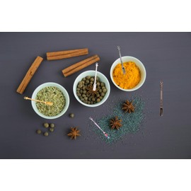 12 PCS Metal Retro Shovel Powder Spoons for Measuring Coffee, Spices, Sugar,Small Shovel Spoon，Mini Spoons，Mini Snuff Spoon,(6 Colors