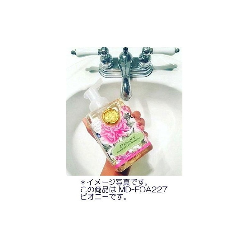 Michel Design Works Scented Foaming Hand Soap, Season's Greetings