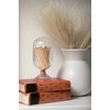MILAVERA Premium Helix Glass Cloche - Decorative Jar with Striker.