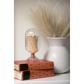 MILAVERA Premium Helix Glass Cloche - Decorative Jar with Striker. Holder for Long Matches for Candles, Fireplace, Bathroom Accessories, Bath Salts. Includes Attachable Match Striker. (No Matches)