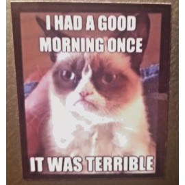 "Handmade" I Had A Good Morning Once It Was Terrible funny Grumpy Cat lover MAGNET