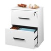 DEVAISE 2-Drawer Wood Lateral File Cabinet with Lock for Office