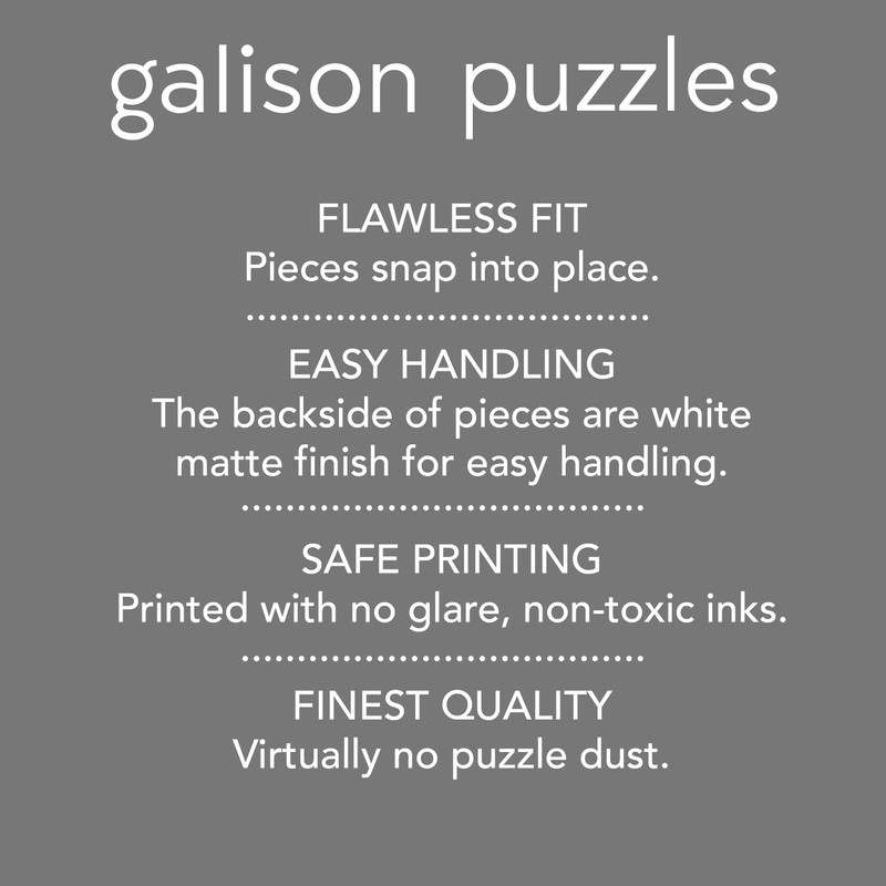 Galison Jonathan Adler Bargello 1000 Piece Panoramic Puzzle from 39"