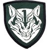 Medal Of Honor Wolfpack Green White Black Trim MOH AFO