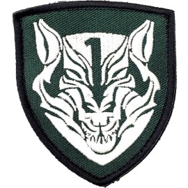 Medal Of Honor Wolfpack Green White Black Trim MOH AFO Tactical Embroid. Patch