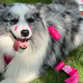 Dog Poop Bags with Handles 15Rolls 225 Counts with Holder Rose Scented for Dogs Leak Proof Extra Thick Waste Bags for Walking Doggy