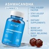 Ashwagandha Gummies, Ashwagandha & Vitamin D Gummy - Mixed Berry,