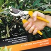 GRÜNTEK Secateurs, Garden Pruning Shears F1, SK5 Blade 48 mm,
