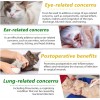 ALIVO 2 oz Natural Antibiotic Cats Pet Supplement Supports Immune