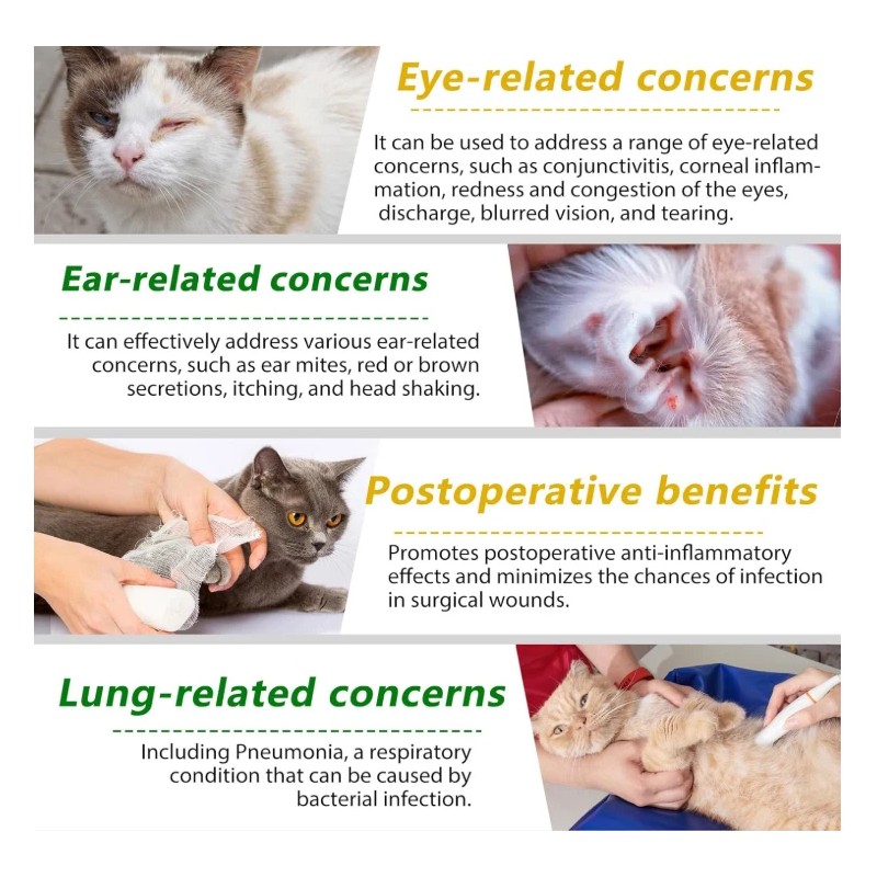 ALIVO 2 oz Natural Antibiotic Cats Pet Supplement Supports Immune